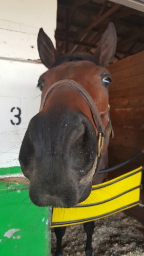 Lovely Loyree's "try me, Tepin!" face.