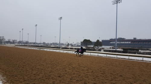 A horse gallops during mrning works at Hawthorne.